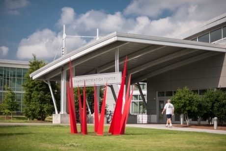 Red spikes emerging from the grass as if the top of a crown that has been submerged