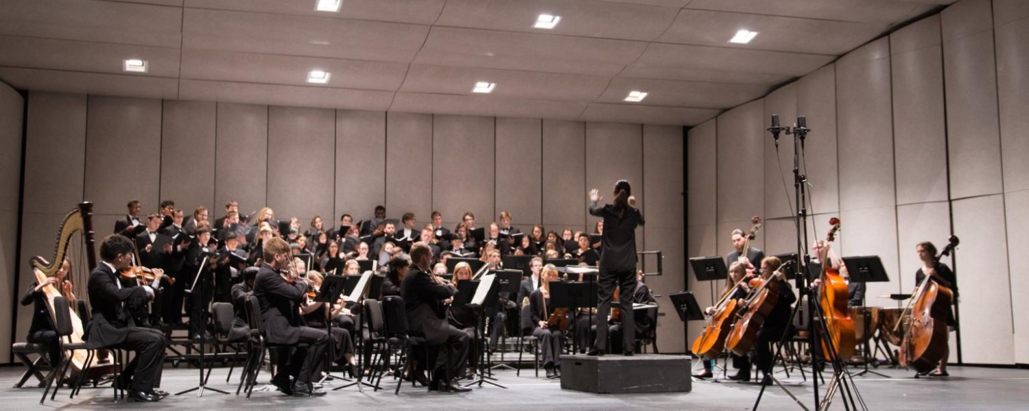 A conductor stands with her back to the camera, arms raised and holding a baton in her hand, facing a symphony orchestra