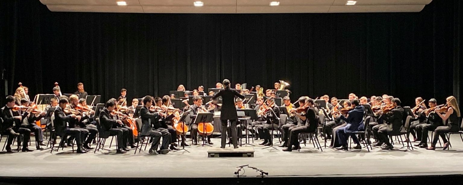 A conductor stands with her back to the camera, arms raised and holding a baton in her hand, facing a symphony orchestra