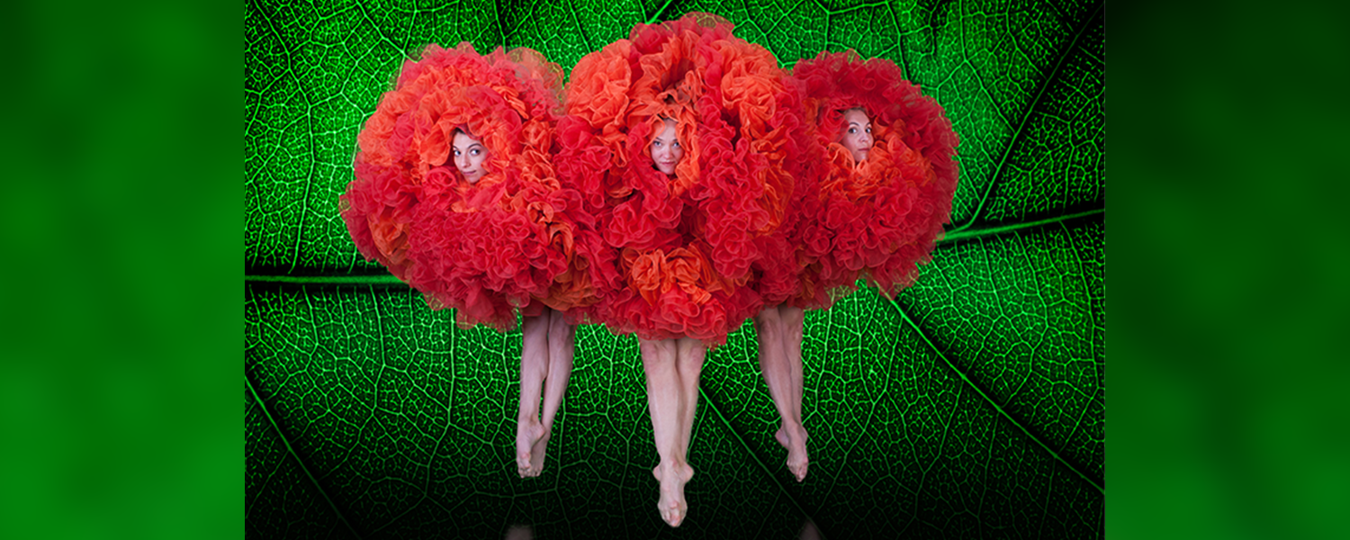 Three female dancers peek through voluminous orange tutus that make them appear as flowers set off against a bright green leaf motif background.