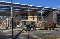 a flatbed truck filled with sapling branches