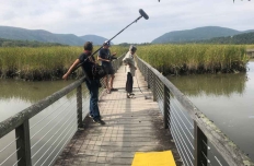 a view down a long narrow boardwalk spanning a marshy inlet. In the distance there are people with recording devices.