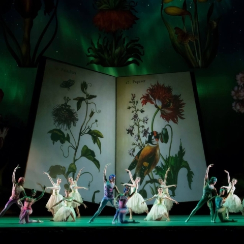 Atlanta Ballet during a performance of 'The Nutcracker.'